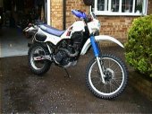 1984 Kawasaki KLR 600 photo
